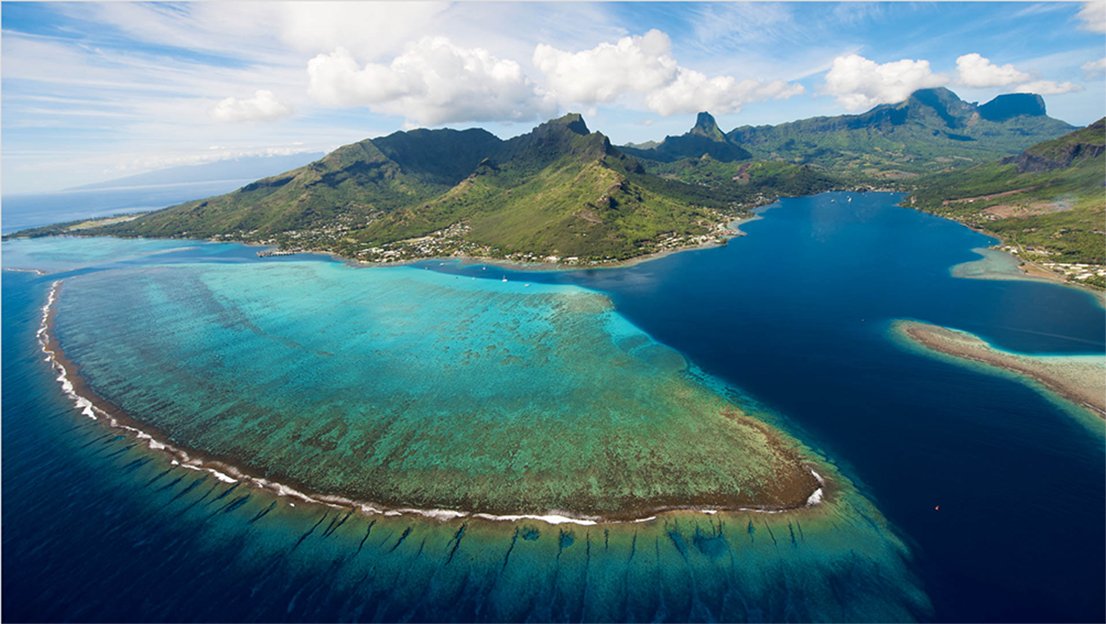 Moorea Coral Gardeners