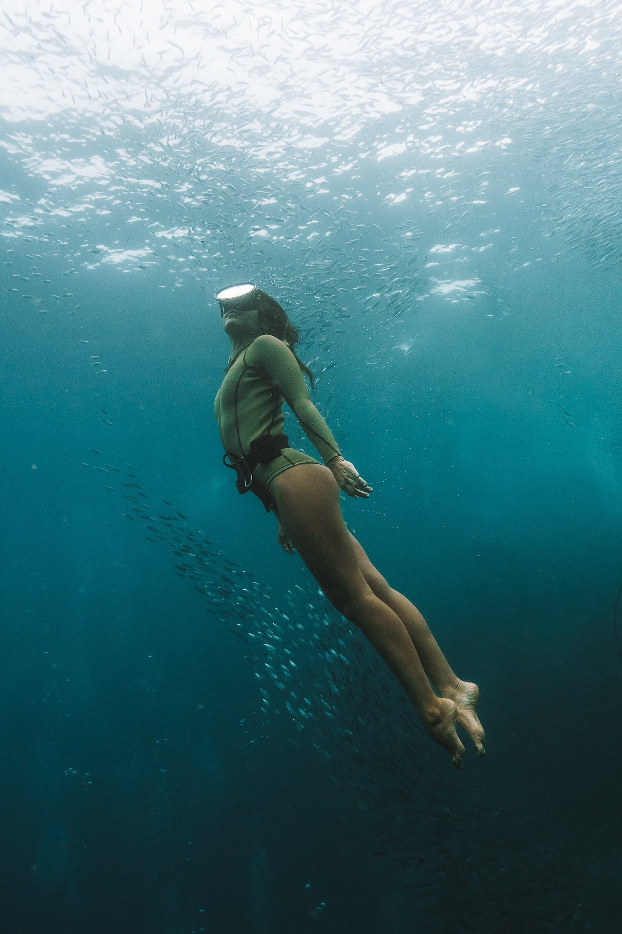 Lotte | Long Sleeve Spring Suit - Aloe - 2mm | Women Springsuit