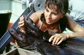 Eugenie Clark, the Shark Lady