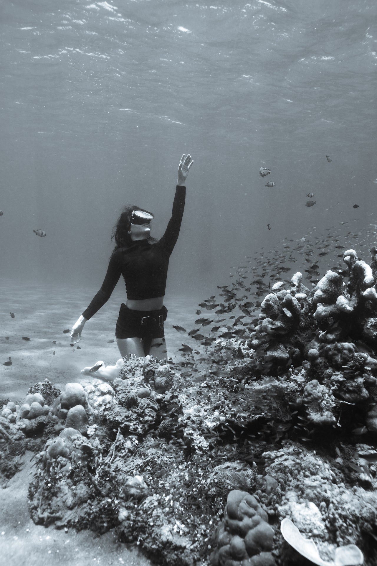 Parry | Short Bikini Black - 1.5mm Eco Neoprene