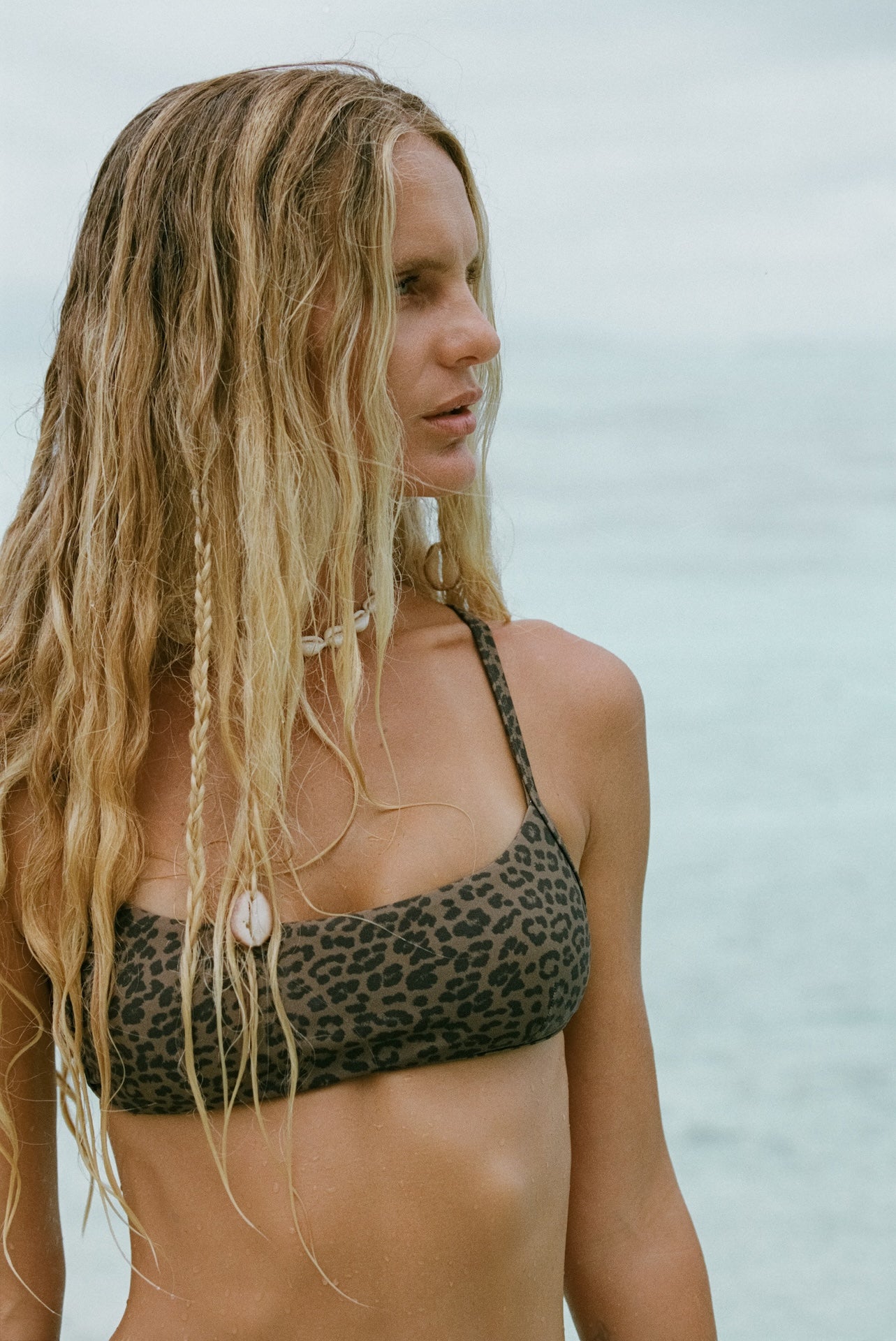 Zamba | Bikini Top -Abysse x Roark- leopard - Sustainable Swimwear
