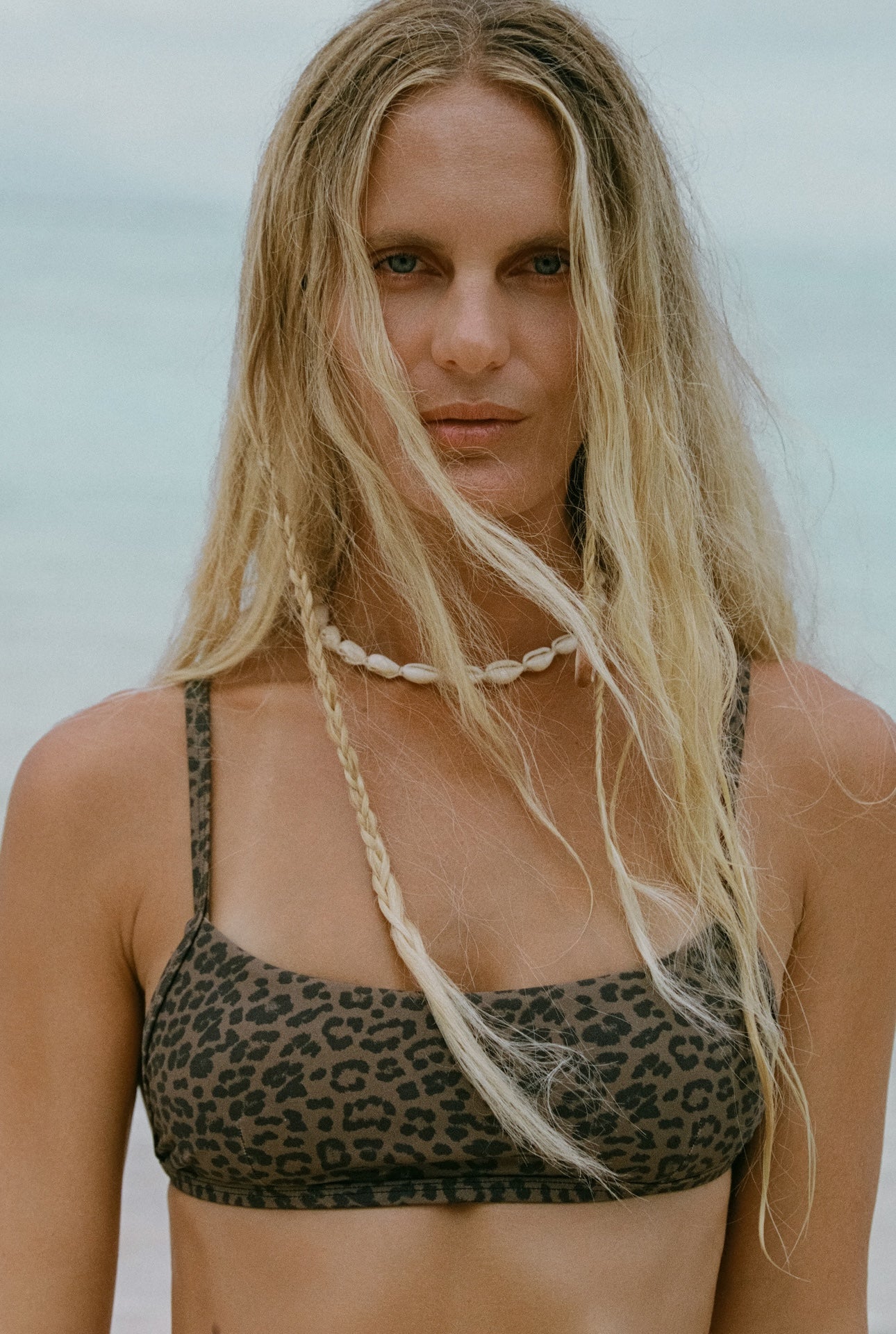Zamba | Bikini Top -Abysse x Roark- leopard - Sustainable Swimwear