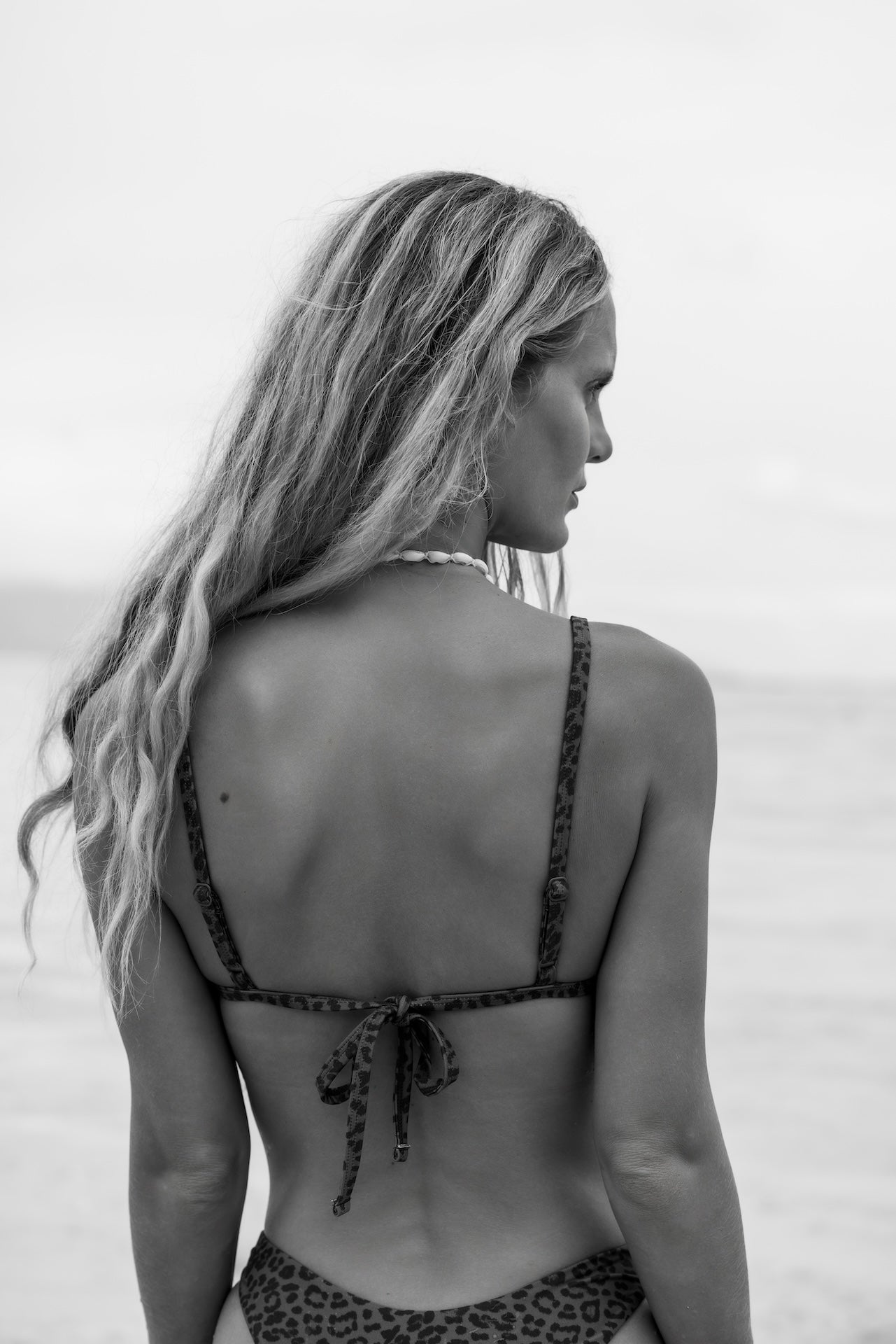 Zamba | Bikini Top -Abysse x Roark- leopard - Sustainable Swimwear