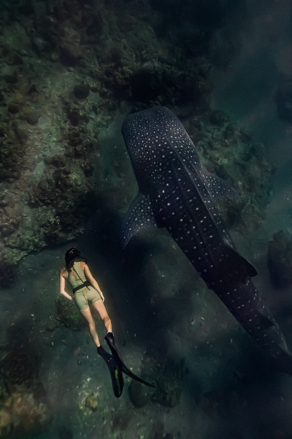 Fraser | Short Jane Wetsuit Aloe - 2mm Eco Neoprene