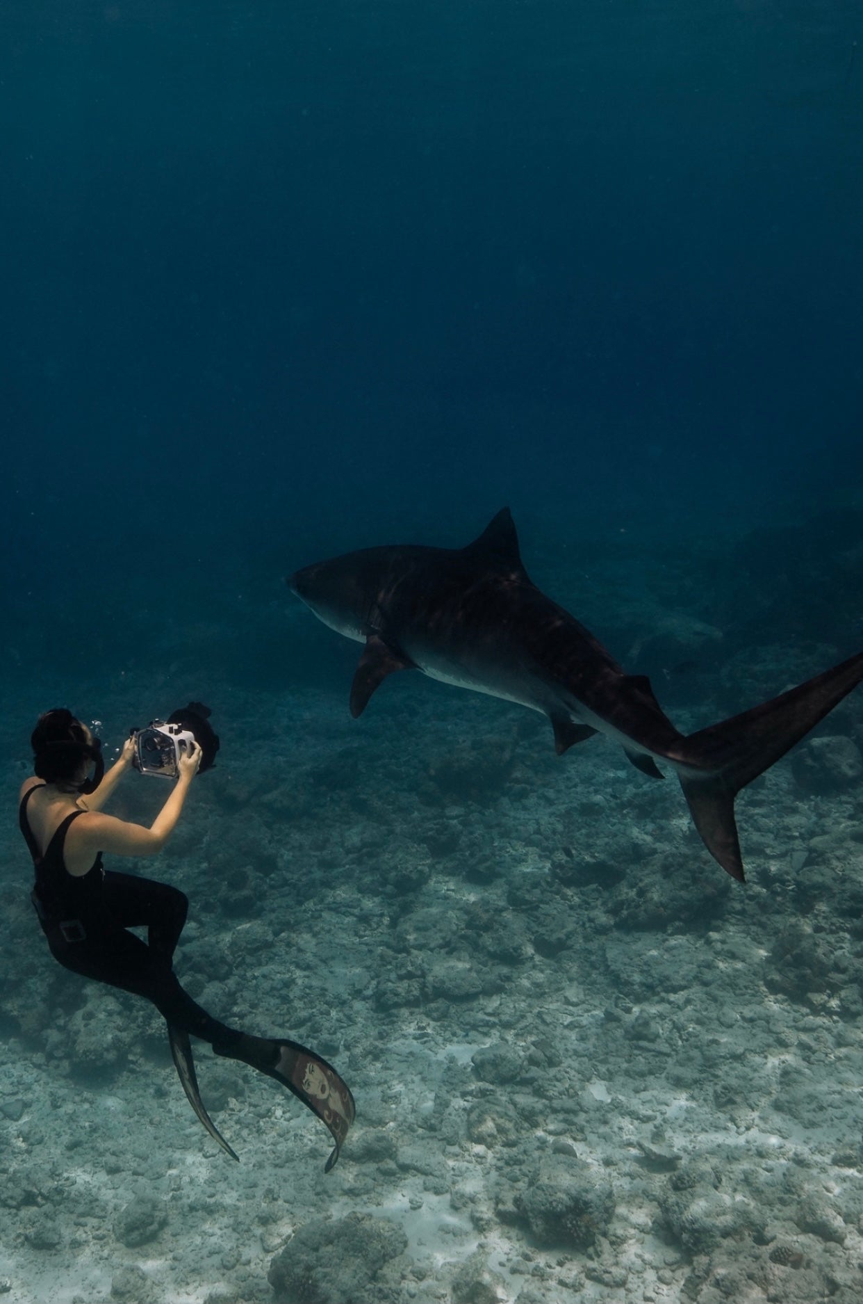 The Kai was designed with an integrated shelf-bra, a U scoop neck and back for support, in order for you to feel at your best at any time in and out of the Ocean. Recycled material from Repreve.